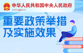 重要政策舉措及實施效果
